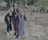 Honduras Donkey