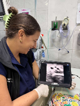 Doctor holding ultrasound tablet