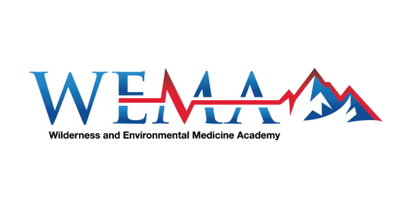 WEMA logo
