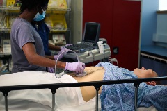 aortasagittalinfrarenal1