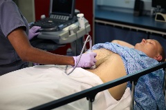 aortatransversedistal2