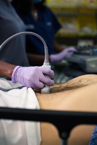 aortatransversedistal6