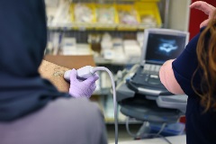 rightposteriorshoulder5