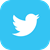 Twitter logo and icon