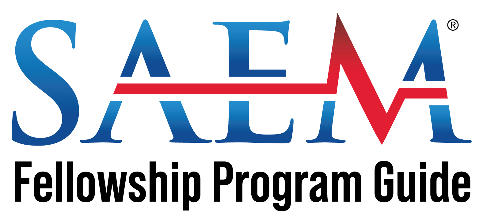 SAEM Fellowship Program Guide logo